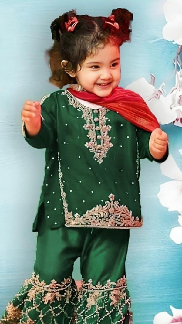 Rohi Embroidered Dhanak 2 pc