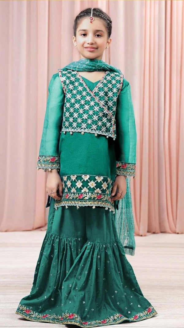 Aurora Embroidered Dhanak 2 pc