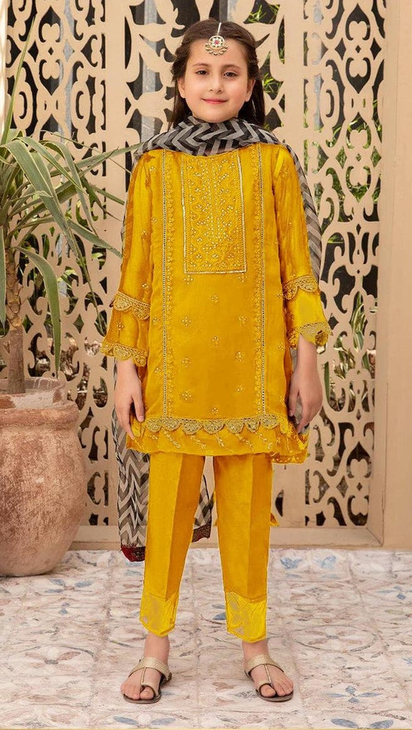 Jalwa Embroidered 2 pc