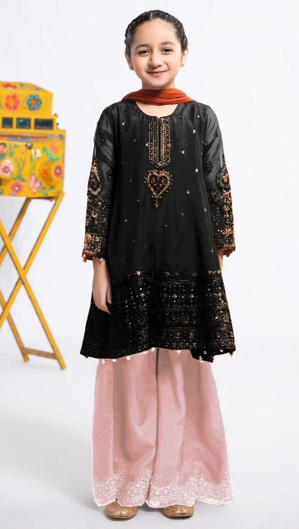 Rabeeha Embroidered 2 pc