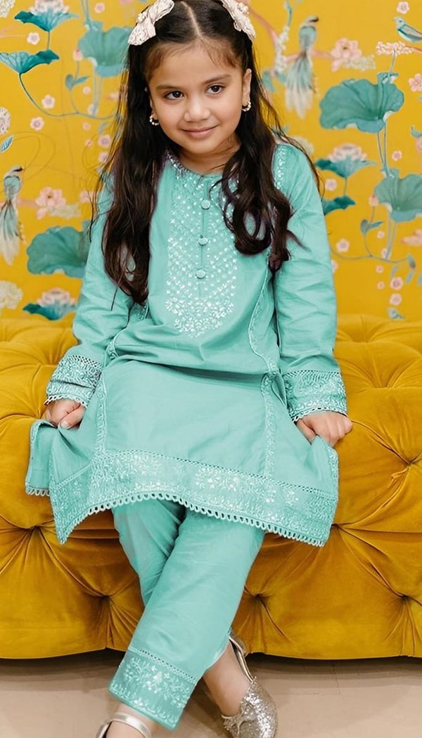 Morni Embroidered 2 pc