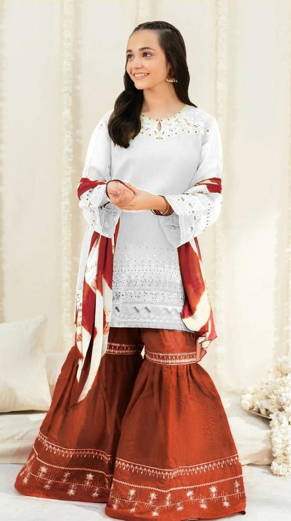 Daneen Embroidered 2 pc