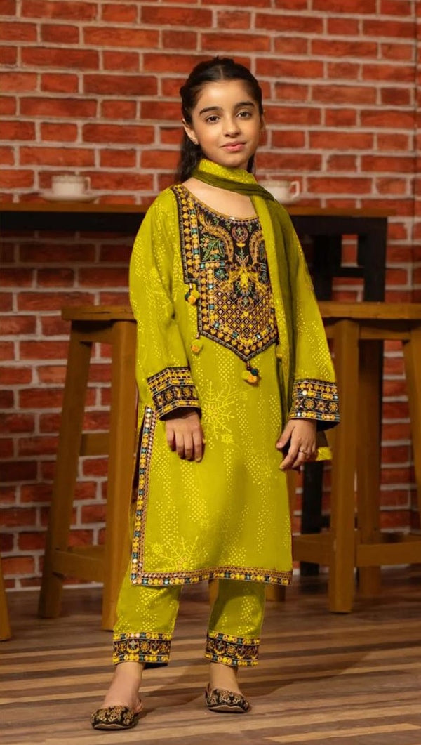 Aamira Embroidered 2 pc