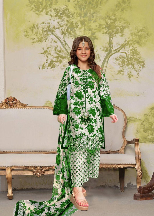 Pak Rang – Azadi Special Dress