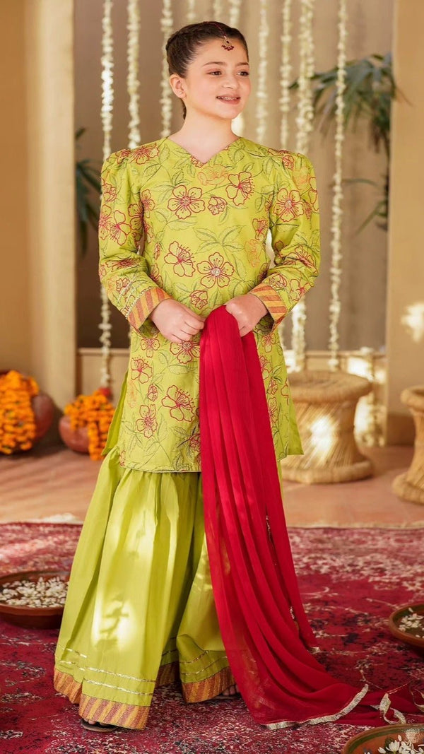 Poplin- Dhanak Embroidered 3 Pc