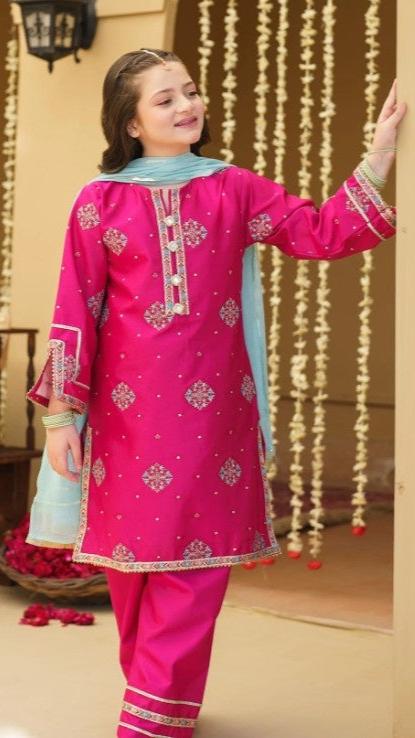 Meenah- Pink Dhanak Embroiderd 3 Pc