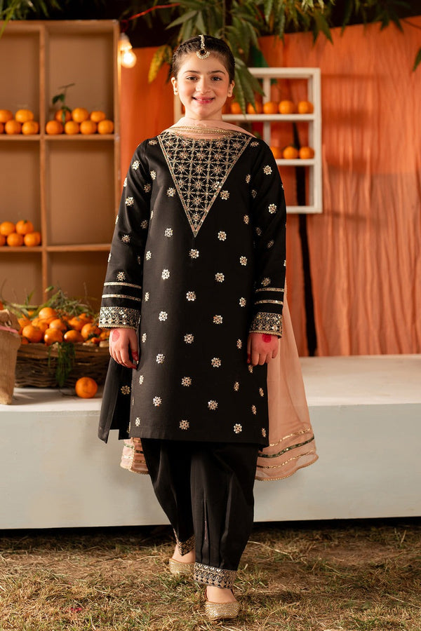 Patisa - Embroidered 2 pc