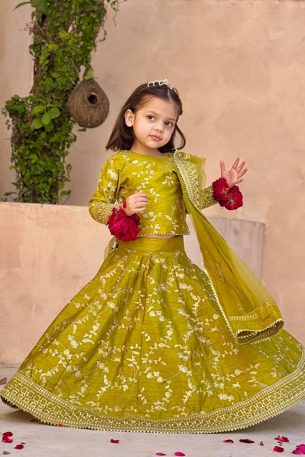 Ghazal Lehenga Choli